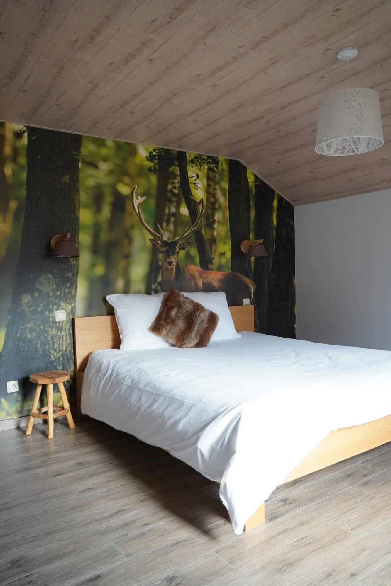 "Petite Perle En Haute Ardenne" Avec Vue Sur La Vallee, Cabine Infra-Rouge Et Bain Balneo Lierneux Ngoại thất bức ảnh